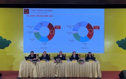 NĐTC 2020 – 2021: HSG đặt kế hoạch lãi 1.500 tỷ đồng, triển khai chuỗi siêu thị Hoa Sen Home