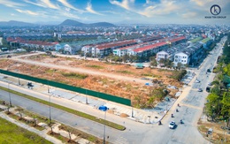 TP Huế: Chợ hoa Tết 2021 chính thức được tổ chức tại An Cựu City