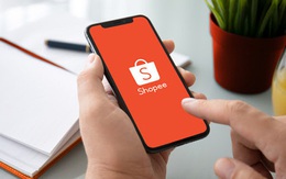 Online sắm Tết là lựa chọn hàng đầu