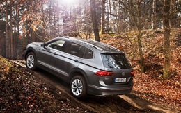 Hệ dẫn động 4 bánh toàn thời gian 4MOTION: trang bị hoàn hảo cho mọi hành trình