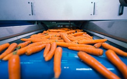 Hạn cuối cho doanh nghiệp thực phẩm chuyển đổi hệ thống sang ISO 22000:2018