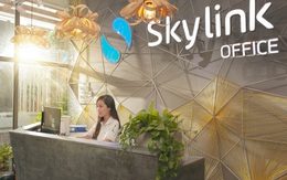Skylink Group: Gã “tân binh” với nhiều lợi thế khủng