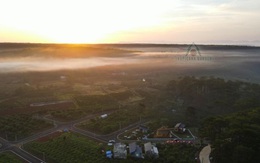 The Tropicana Garden – Nhà vườn sinh thái khác biệt tại Bảo Lộc