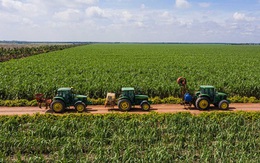 Thị trường đường nội địa 2021: cơ hội dành cho các doanh nghiệp lớn