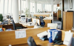 Taxi Tải Việt Moving - Công ty chuyển văn phòng uy tín TPHCM