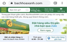 Bách hóa Xanh phục vụ hiệu quả nhờ lập 2000 nhóm "Đi chợ online"