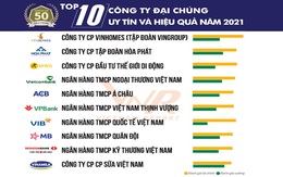 Top 10 công ty đại chúng uy tín & hiệu quả năm 2021 và kỳ vọng tăng trưởng của ngành dẫn đầu
