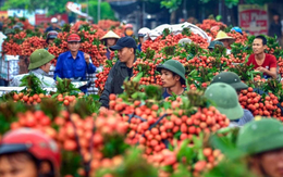 Không còn các "phi vụ giải cứu" ngắn hạn, nông sản Việt tìm đầu ra bền vững trên TMĐT