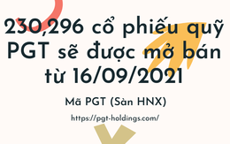 Hơn 230 nghìn cổ phiếu quỹ PGT dự định sẽ được chào bán