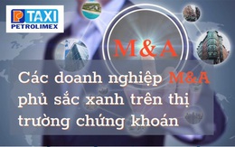 Các doanh nghiệp M&A phủ sắc xanh trên thị trường chứng khoán