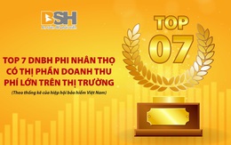 Thị trường bảo hiểm phi nhân thọ, 1 bức tranh 2 mảng màu