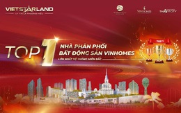 Vietstarland - 8 năm một hành trình khai phá và tiên phong