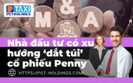 Nhà đầu tư có xu hướng ‘dắt túi’ cổ phiếu Penny, đón sóng phục hồi quý IV