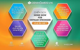 Bí quyết thành công của chiến dịch “Home now for Vietnam Stronger”