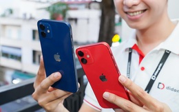 Top 5 iPhone cũ được mua nhiều cuối năm 2021