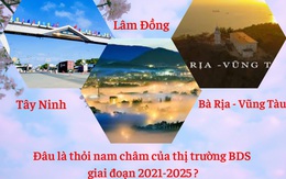 Thị trường BĐS nào đang là thỏi nam châm thu hút các nhà đầu tư giai đoạn 2021-2025?