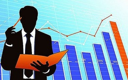 Thị trường chứng khoán 2021 lập đỉnh, nhiều nhà đầu tư vẫn đỏ danh mục?