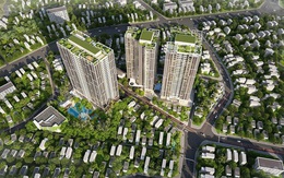 Feliz Homes ra mắt “Giỏ hàng” những tầng đẹp nhất tòa Fantasy Tower