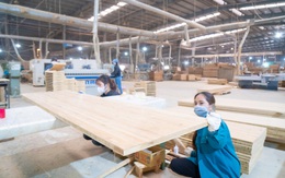 Đầu tư Sao Thái Dương chế tạo thành công ván sàn container đạt chuẩn quốc tế