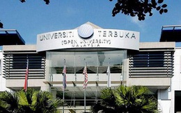Bằng MBA Đại học Mở Malaysia: Lựa chọn tri thức tối ưu