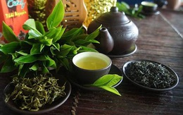 Danh Trà: hơn 80 năm chuẩn vị trà bắc Thái Nguyên