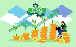 Đầu tư ESG: Thế giới đang sôi sục, nhà đầu tư Việt đã hiểu đến đâu?