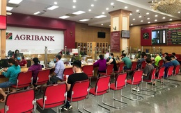 Moody’s nâng hạng tín nhiệm đối với Agribank