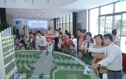 “Tảng băng chìm” quanh chuyện đầu tư của Vietracimex