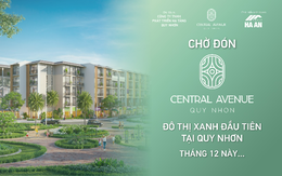 Dự án Central Avenue Quy Nhon - Shophouse liền kề hiện đại sắp ra mắt