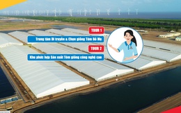 Tập đoàn thủy sản Việt Úc giới thiệu tour tham quan trực tuyến 360 độ