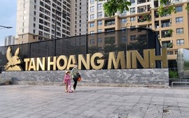 Công ty duy nhất thuộc Tân Hoàng Minh trên sàn chứng khoán: Cổ phiếu đột nhiên tăng trần trong phiên 29/09, lãi bất ngờ trong lần cuối công bố BCTC