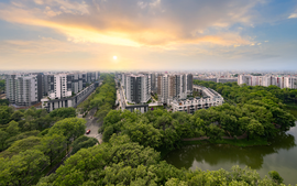 Sau Hà Nội, đến lượt TP.HCM bước vào "làn sóng" tăng giá chung cư: Tăng hơn 20% chỉ sau 3 tháng đầu năm