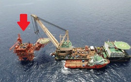 Tin vui: Việt Nam có "kho báu" từng được Úc, Malaysia định giá chỉ 1 USD, sau 30 năm lên tới 160.000 tỷ đồng