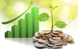 Lịch chốt quyền cổ tức tuần 16–20/3: Loạt doanh nghiệp trả cổ tức tiền mặt cao, có công ty sắp chi gần 1.000 tỷ đồng