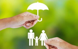 VNPost đấu giá thành công PTI với giá bình quân hơn 77.300 đồng/cp, cao hơn 63,5% so với khởi điểm