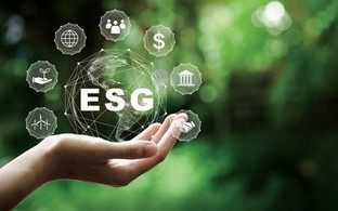 ESG - "chiến lược" hay "chi phí" đối với doanh nghiệp xuất khẩu tại Việt Nam?