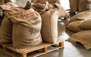 Hàng chục nghìn tấn "sản vật tỷ USD" từ VN ồ ạt sang láng giềng của Mỹ: Nước ta đang Top 2 thế giới