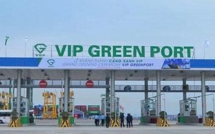 Viconship sắp thu gần 90 tỷ đồng cổ tức từ Cảng Xanh Vip