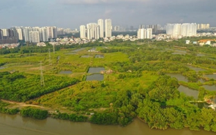 Quốc Cường Gia Lai bán thêm 2 công ty để lấy lại dự án Bắc Phước Kiến