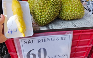 Sầu riêng loạn giá, xuất khẩu giảm sâu