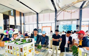 Sáp nhập TPHCM với Bình Dương và Bà Rịa - Vũng Tàu: Có nên xuống tiền mua đất?