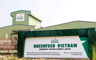 "Đại gia" chăn nuôi Long An đột ngột báo lãi kỷ lục 2.100 tỷ đồng, vượt mặt Dabaco, nông nghiệp Hoà Phát, BAF