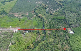 Nghiên cứu, rà soát kỹ phương án đầu tư đường kết nối Bình Phước - Đồng Nai qua cầu Mã Đà