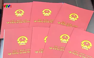 Bị mất sổ đỏ khi chưa kịp sang tên, xin cấp lại thế nào