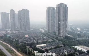 Cảnh bỏ hoang tại dự án biệt thự, liền kề từng ‘xây chui, bán sai’