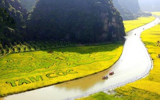 Ninh Bình tăng trưởng 11,31%, quyết tâm giữ nhịp 'hai con số' cả năm