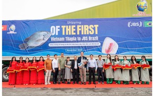 Vừa mua xong 1 triệu cổ phiếu, 'Thiếu gia' nhà vua cá rô phi Việt lại muốn gom thêm 1 triệu đơn vị ANV