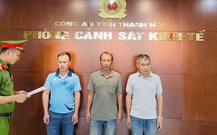 Ba "đất tặc" bị khởi tố