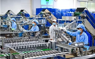 Thu hút vốn FDI: Không thể chỉ trông chờ 'đại bàng' đến làm tổ