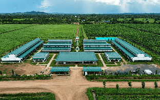 Công ty nông nghiệp của tỷ phú Trần Bá Dương báo lãi gấp 6 lần, nợ vượt 2,59 tỷ USD